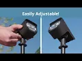 Elevate Your Home With Bionic Burst Dynamic Outdoor Lights