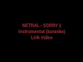 Download Lagu NETRAL - SORRY || Instrumental (karaoke) Lirik Video