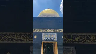                     دندنها