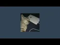 dinero - trinidad cardona (sped up)