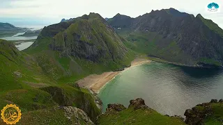 على نهجك مشيت ماهر زين 