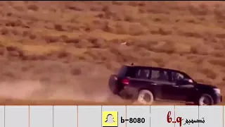 شيلة سق ياسعد    لعشاق المقناص والبر دندنها