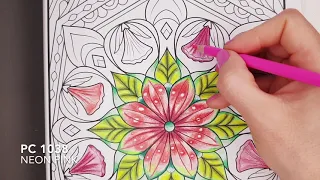 Jade Summer 100 Amazing Patterns An Adult Coloring Book with Fun Easy and Relaxing Coloring Pages