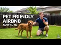 Why I Let Dogs In My Airbnb The Numbers Don t Lie