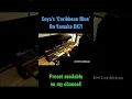 Download Lagu ‘Caribbean Blue’ from Enya on a Yamaha DX7!