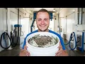 Collecting 30 Days of Car Wash Cash How Much PROFIT Did I Make