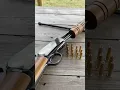 Download Lagu Varmint Rifle .22 Pump-Action
