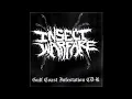 Insect Warfare - Into The Crypt Of Rays (Celtic Frost)