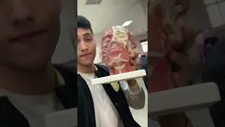 فاصل تكة علي ال ٥٠ الف مشترك اعملوا اشتراك هااانت Fyp Motivation Trending Viral 