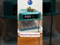 Fully Automatic Egg Incubator - Making Hatching Easier