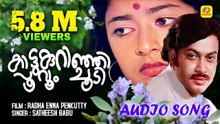  radha enna penkutty evergreen malayalam movie song audio song