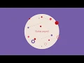 ADP Global Payroll Solution ADP Celergo