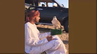 يزيد الشوق   فرقة المزيود الحربية   بطيء دندنها