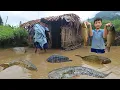 Download Lagu A terrible flood flooded Nam's small house. Nam caught many big fish when the water receded
