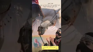 قصة الامير عامر الخفاجي الراوي فواز الغسلان 