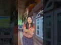 Download Lagu Bhuisori#nepali song#nepali#reels#