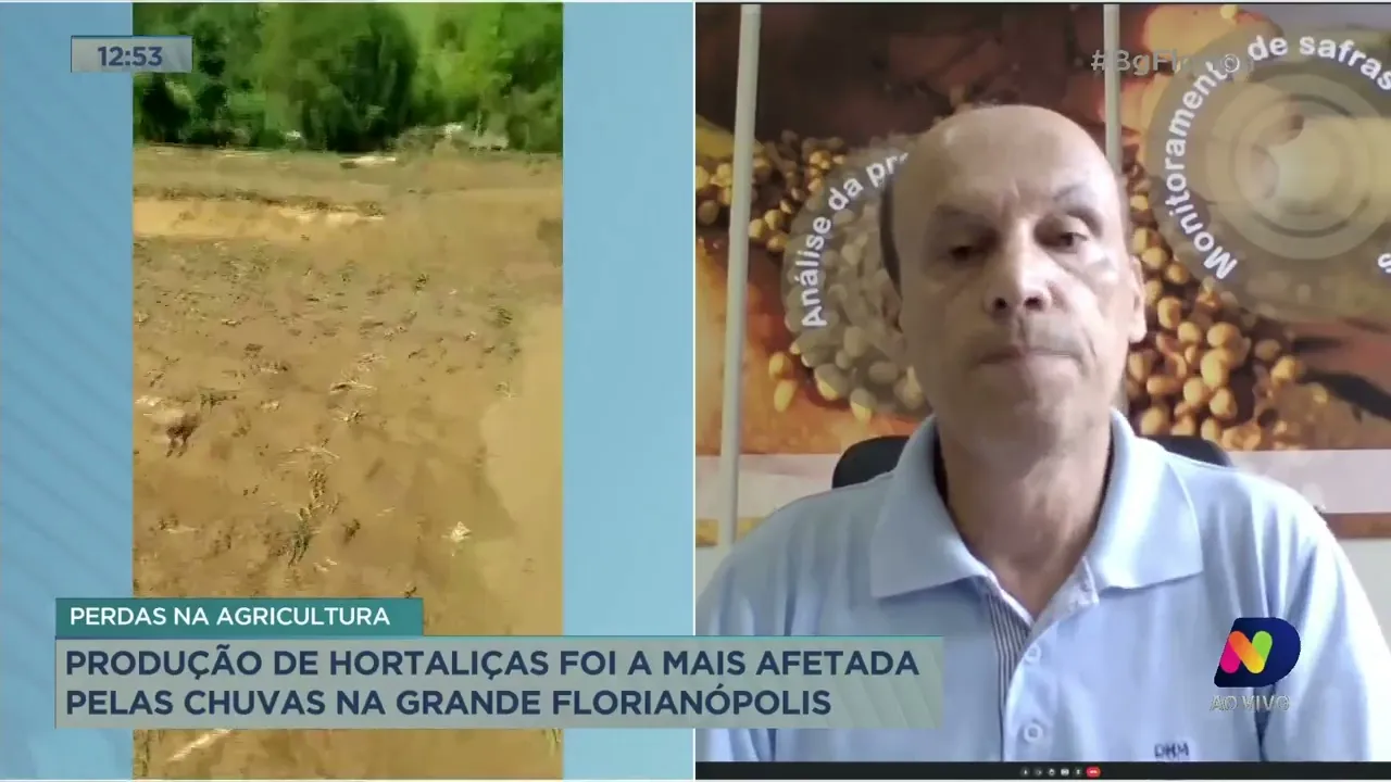 Especialista fala das perdas na agricultura, na grande Florianópolis, ocasionadas pelas enxurradas