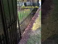 We installed this Lowe s No Dig Fence Ourselves Empire Grand XL