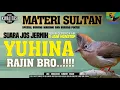 Download Lagu YUHINA Gacor buat Isian Murai batu || Suara Jernih || Materi mewah gacor owor owor..!!