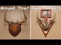 How to mount your own antlers on a budget Cheap DIY Project
