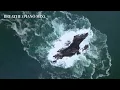 Ambient Music for Concentration, Sleep & Meditation — Gideon Matthew