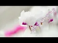 シクラメンのかほり    　milkye326　　(オリジナル　布施明　他)