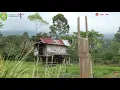 Download Lagu SEDIH ! RATAPAN NASIB - LAGU MELARAT OLEH DENALI - GITAR TUNGGAL BATANGHARI SEMBILAN 1978 PRABUMULIH