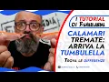Download Lagu SQUID TREMBLED, TUMBULELLA ARRIVES