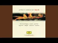 Download Lagu J.S. Bach: Partita No. 2 for Solo Violin in D Minor, BWV 1004: V. Chaconne