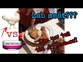 Chicken Lab Meat How you can tell the difference taste test included