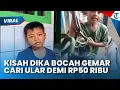 Lagu VIRAL SOSOK DIKA! Bocah 10 Tahun Gemar Tangkap Ular Dijual Rp50 Ribu, Didatangi Panji Petualang
