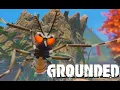 Grounded e102 - Pinecones