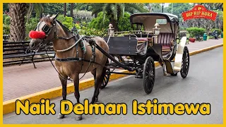 Download NAIK DELMAN ISTIMEWA - LAGU NAIK DELMAN - LAGU ANAK ANAK MP3