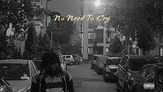 No Need To Cry - X7