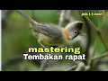 Lagu MASTERING|| yuhina full nembak rapat (ada jedanya agar cepat masuk)√