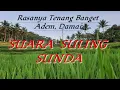 Download Lagu Suling Sunda Bikin Tenang 🎶Cocok Di Dengarkan Selepas Kerja