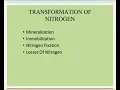 Nitrogen transformation