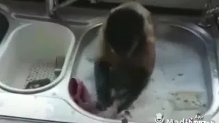 يا صغيره على الهم يالوزه   دندنها