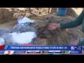Tortoise and rhinoceros fossils found at site in Gray TN