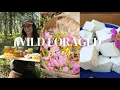 Download Lagu Turning Weeds into Gold: Dandelion Jelly, Fried ‘Clams’ \u0026 Wild Rose Marshmallows | Off-Grid Alaska