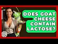 Does Goat Cheese Contain Lactose - The Skillful Chef
