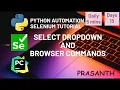 Day 13 Select Dropdown Browser Commands Python Selenium Tutorial