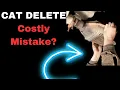 Catalytic Converter Removal Pros and Cons CAT Delete 101