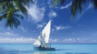 Johnny Guitar ـ Khalid Barzanji خالد برزنجي جوني جيتار 