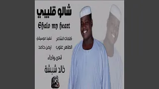 شالو قليبي 