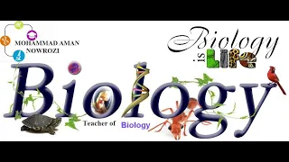 درس چهارم  قوانین مندل                 دندنها