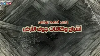 رعب أحمد يونس الرماديين ووحوش باطن الأرض 