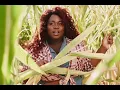 Independently Owned - Alex Newell 5/11/23