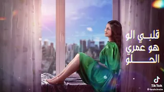 سمارو هدلي حيلي 