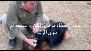 خالد k-9 بعض اخطاء مربي الكلاب استخدام طوق الرقبة